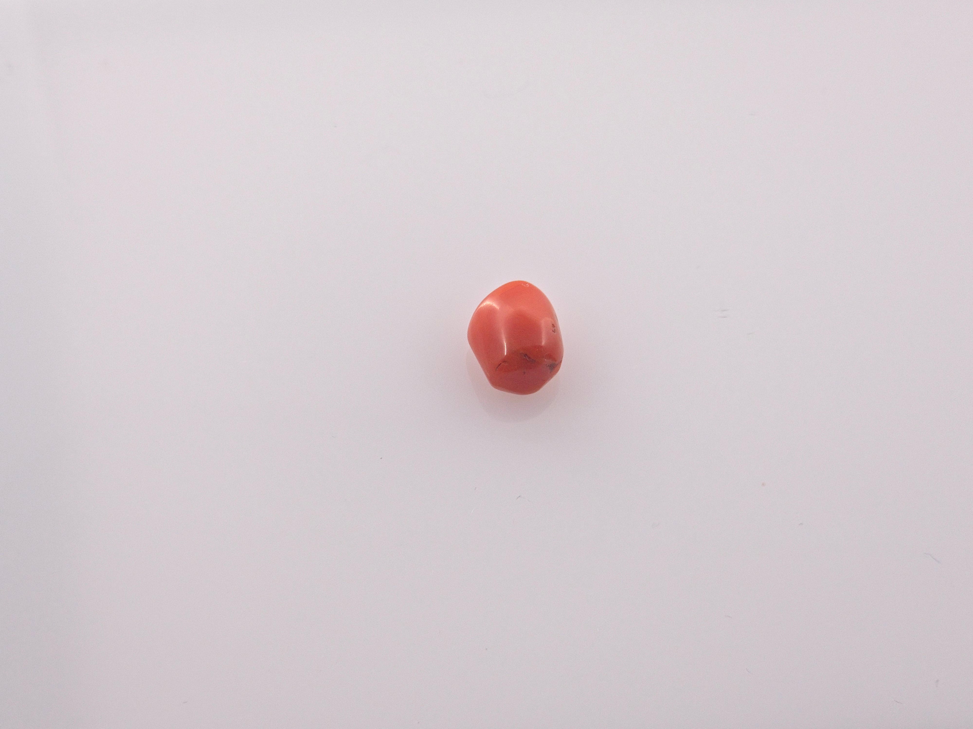 Coral - 2.61 Carats