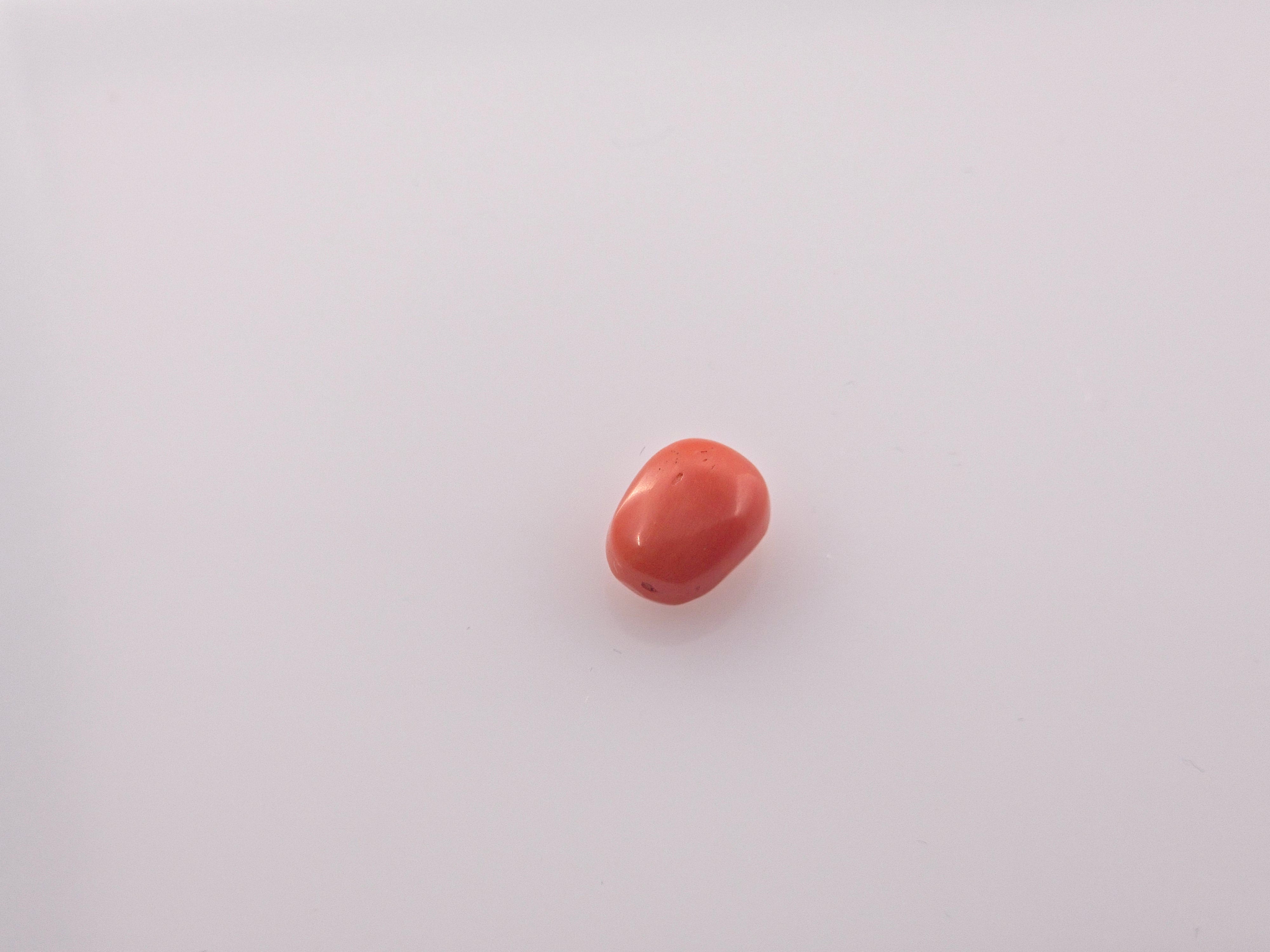 Coral - 4.05 Carats