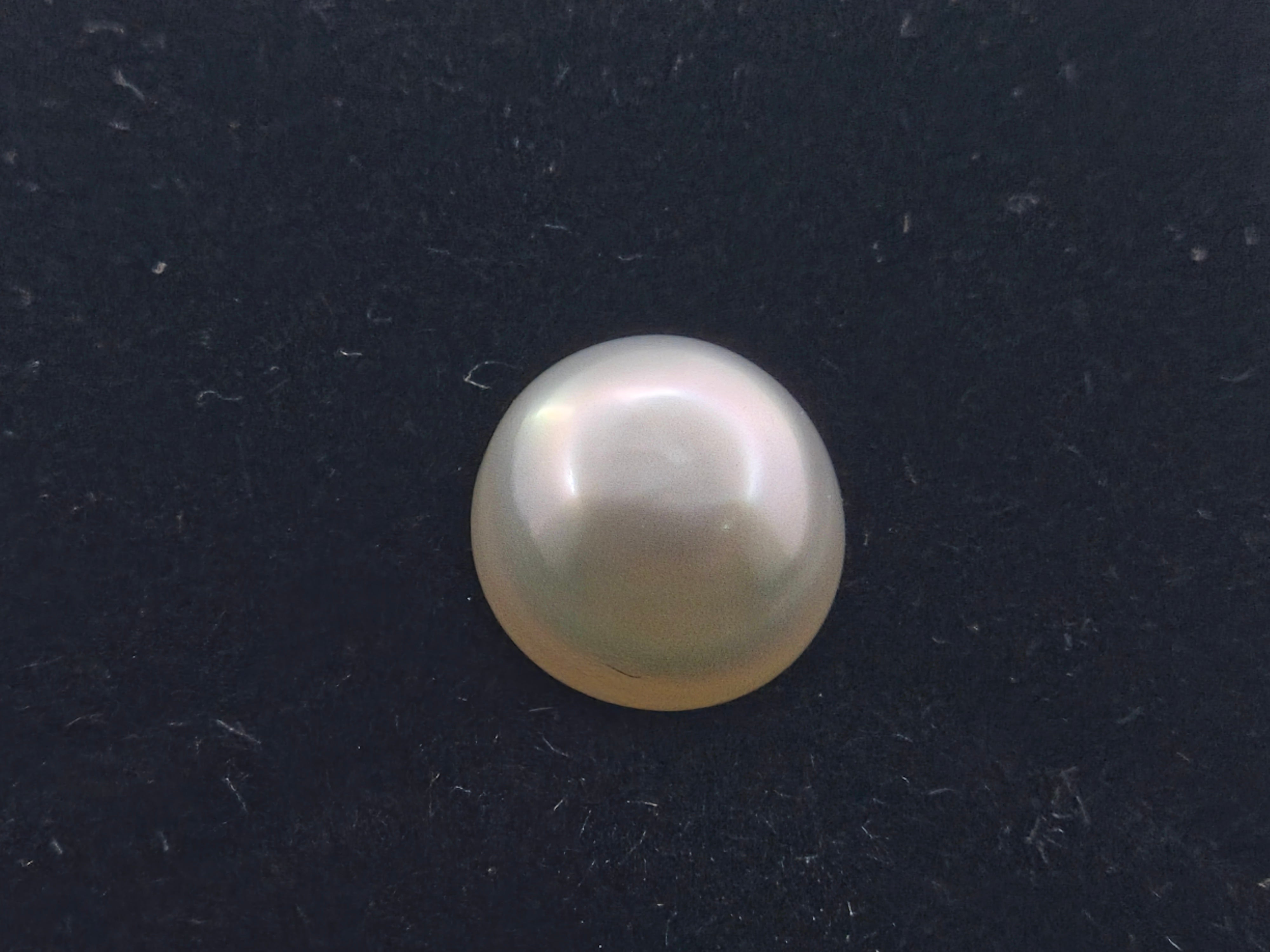 PEARL- 3.34 Carats