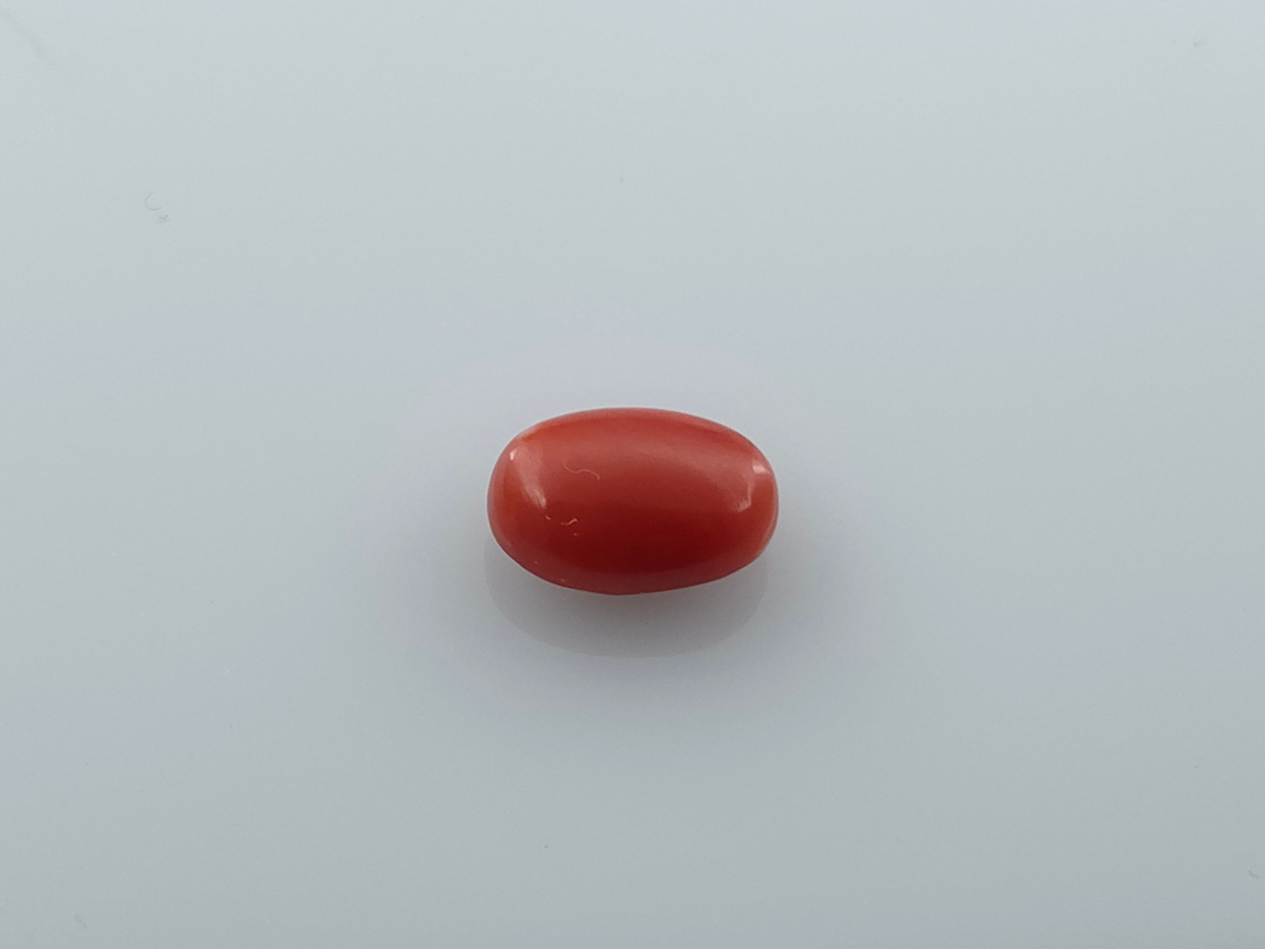 CORAL - 4.3 CARATS