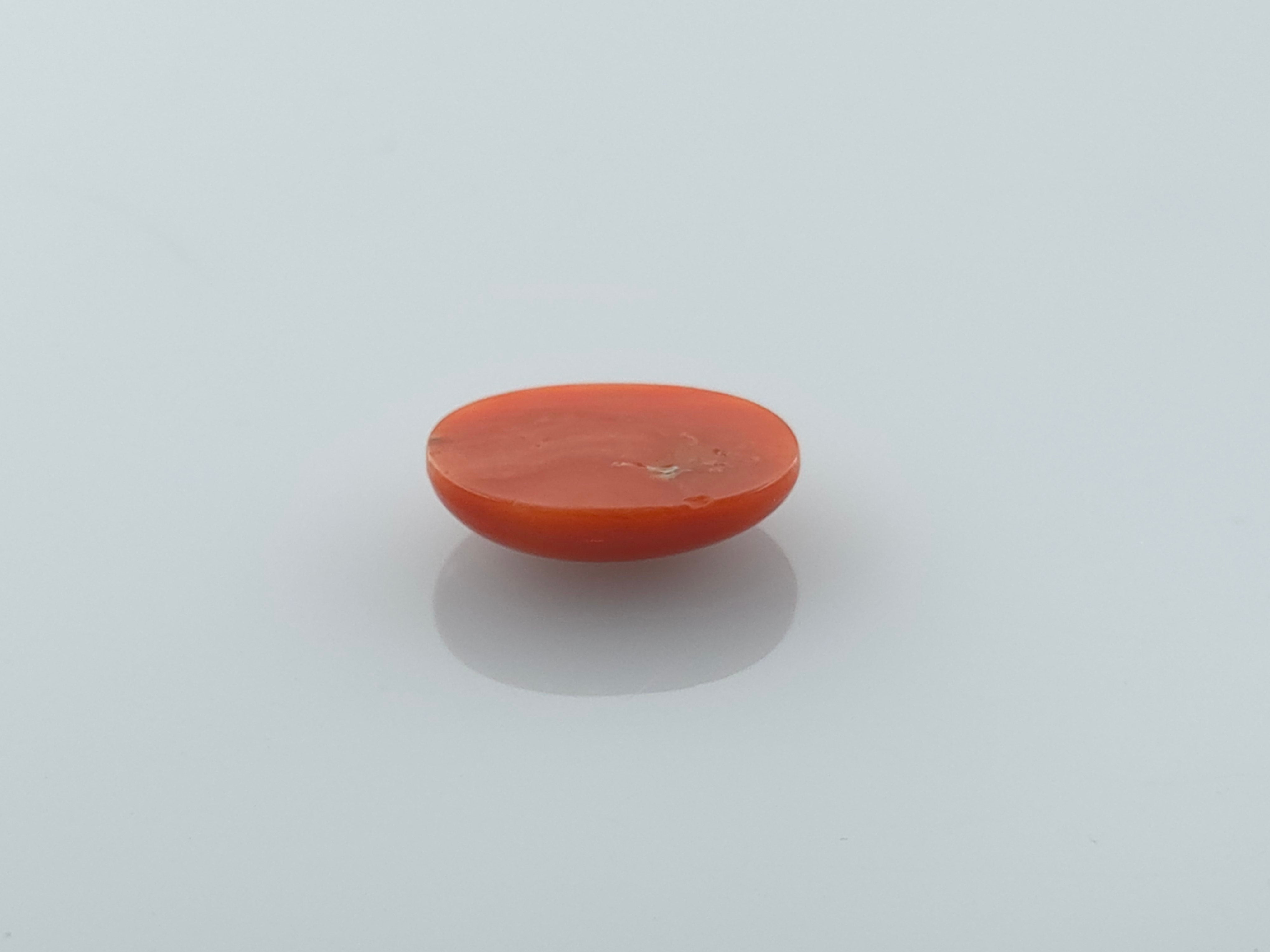 CORAL - 4.29 CARATS