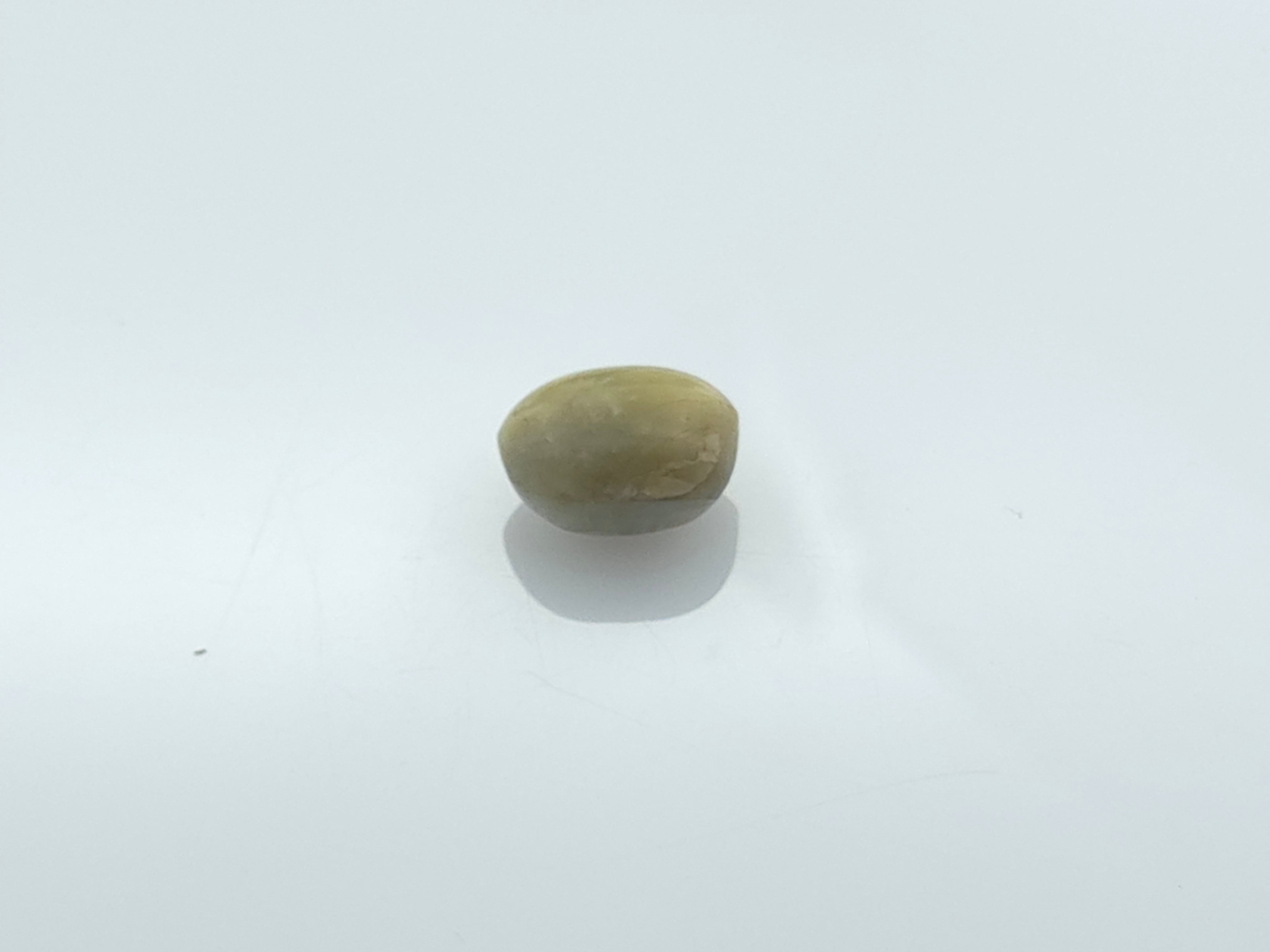 CHRYSOBERYL CATS EYE - 5.46 CARATS