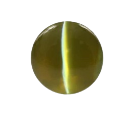 cats-eye