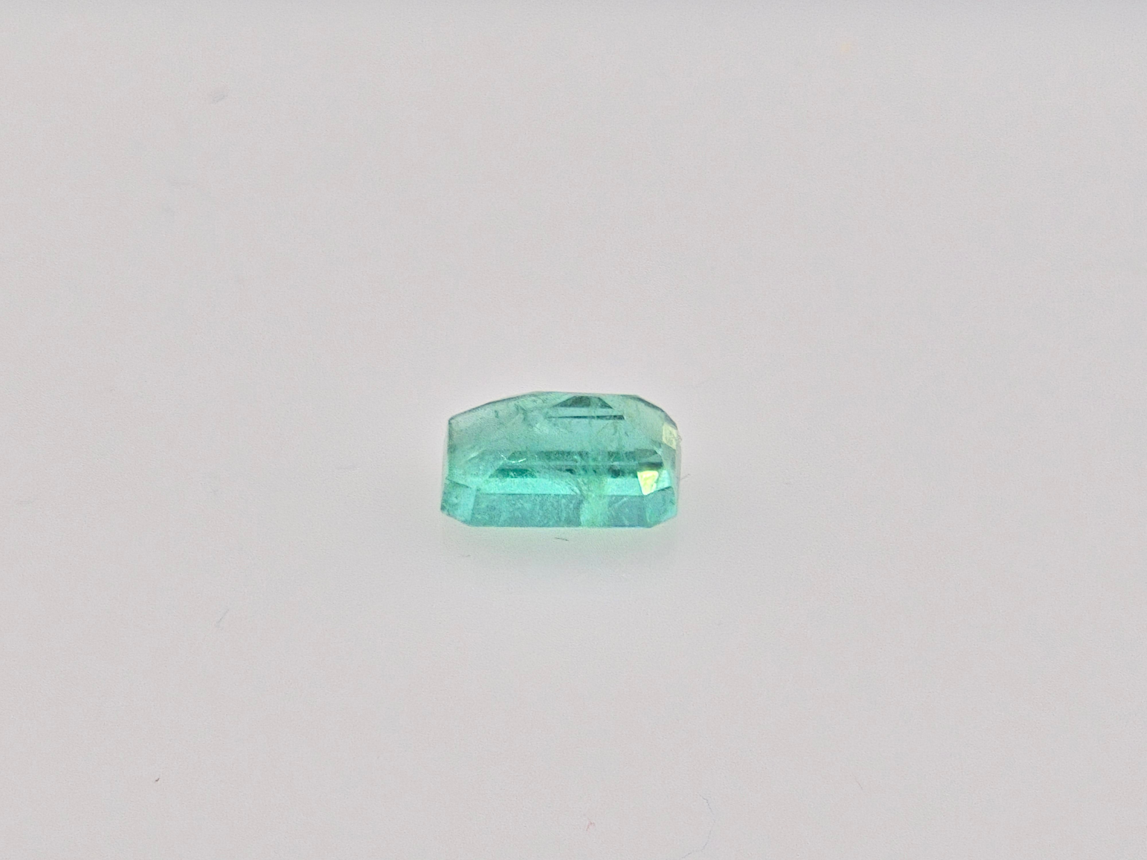 EMERALD-  2.73 Carats