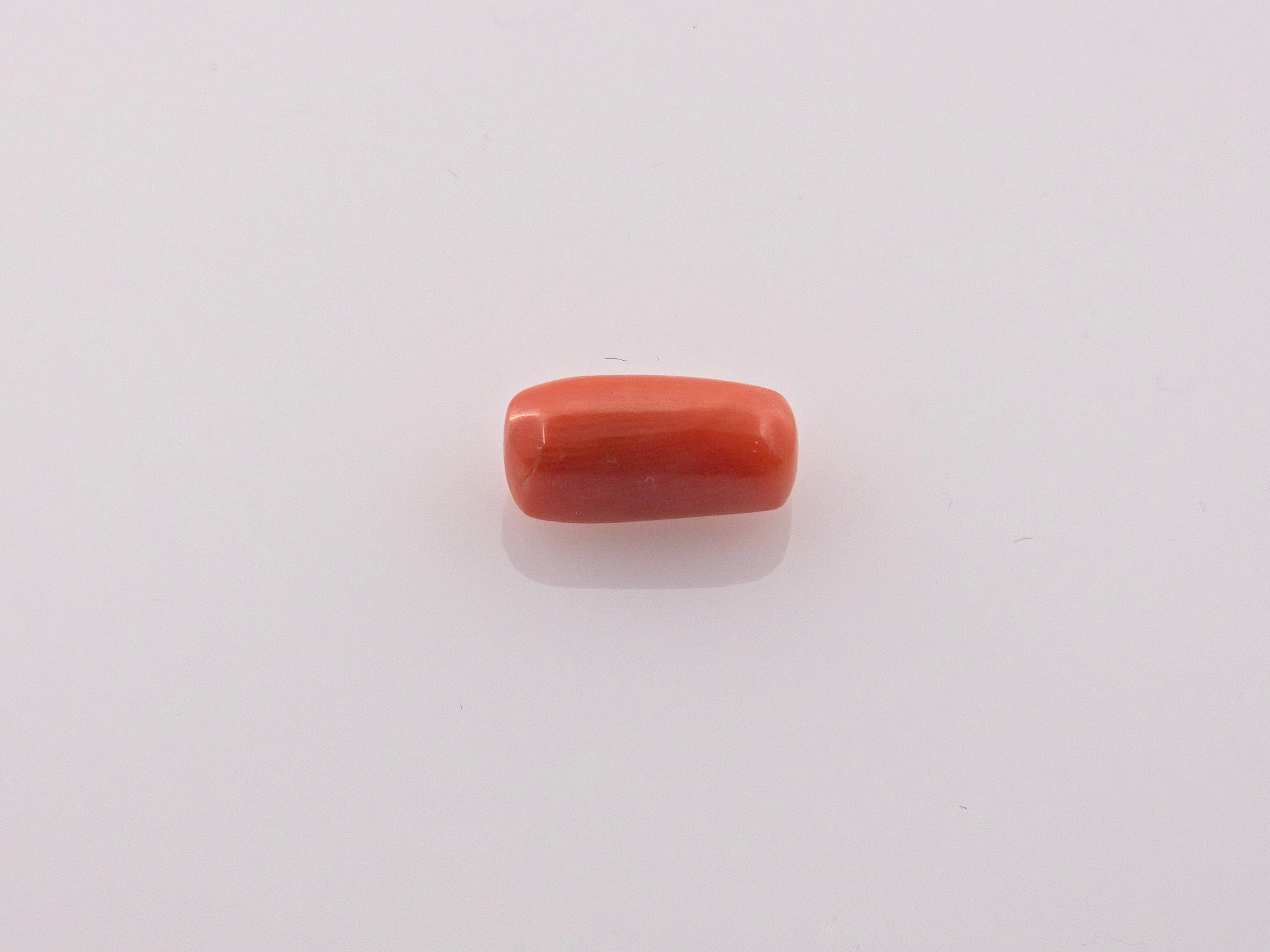 Coral - 3.69 Carats