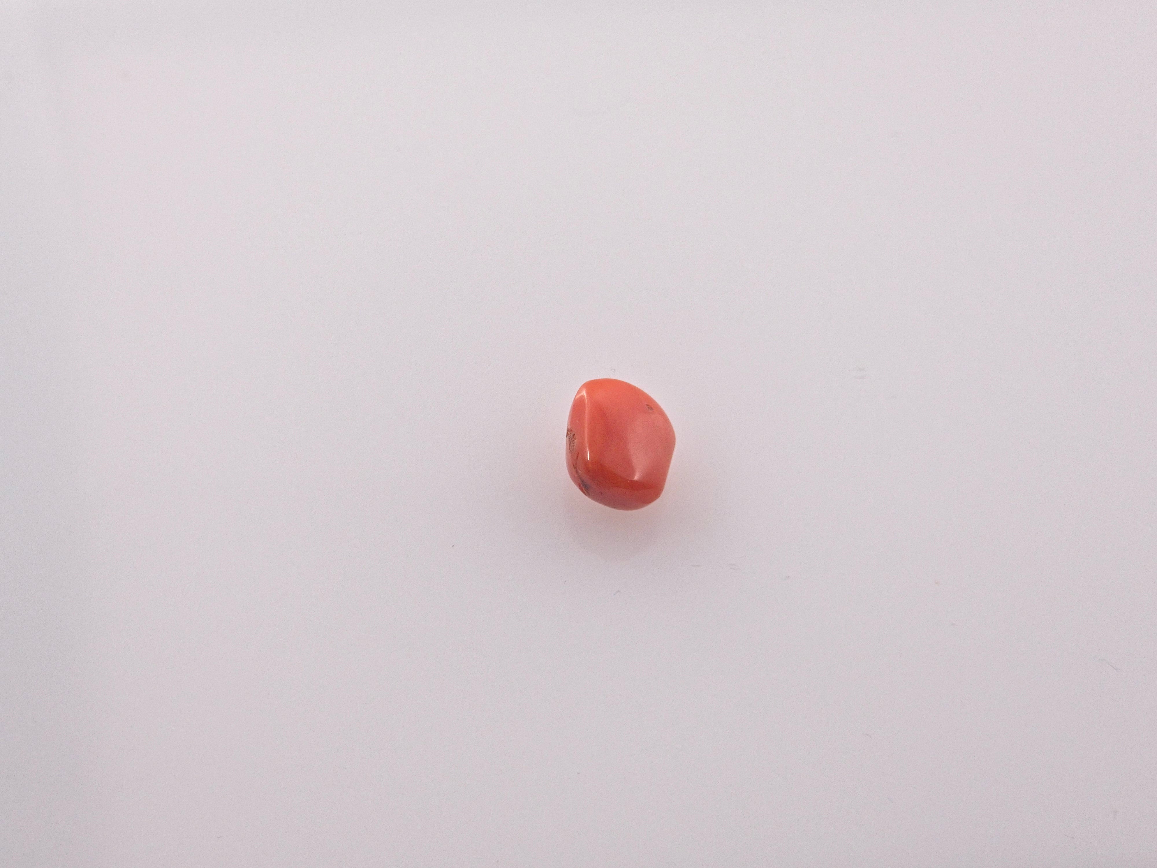 Coral - 2.61 Carats
