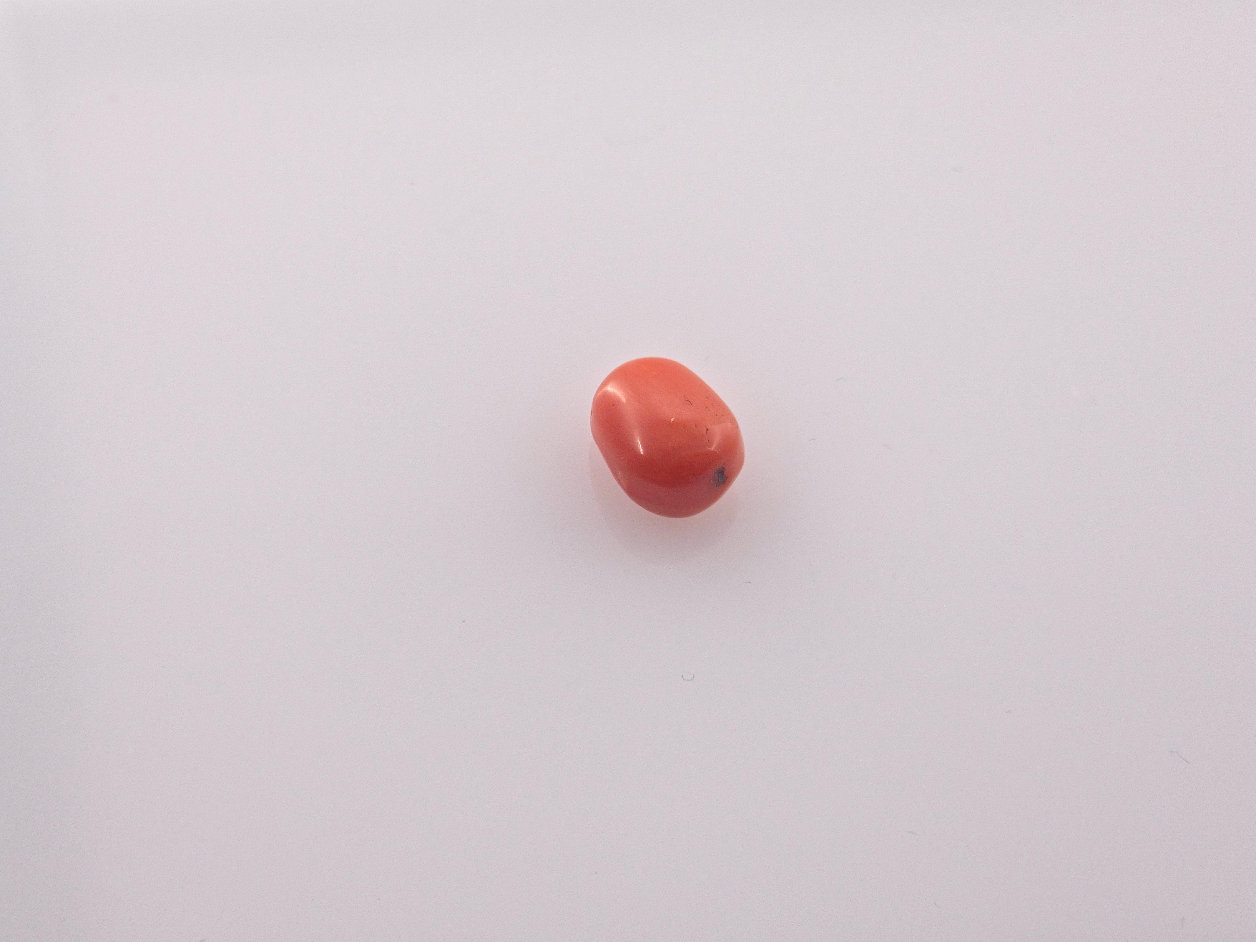 Coral - 4.05 Carats