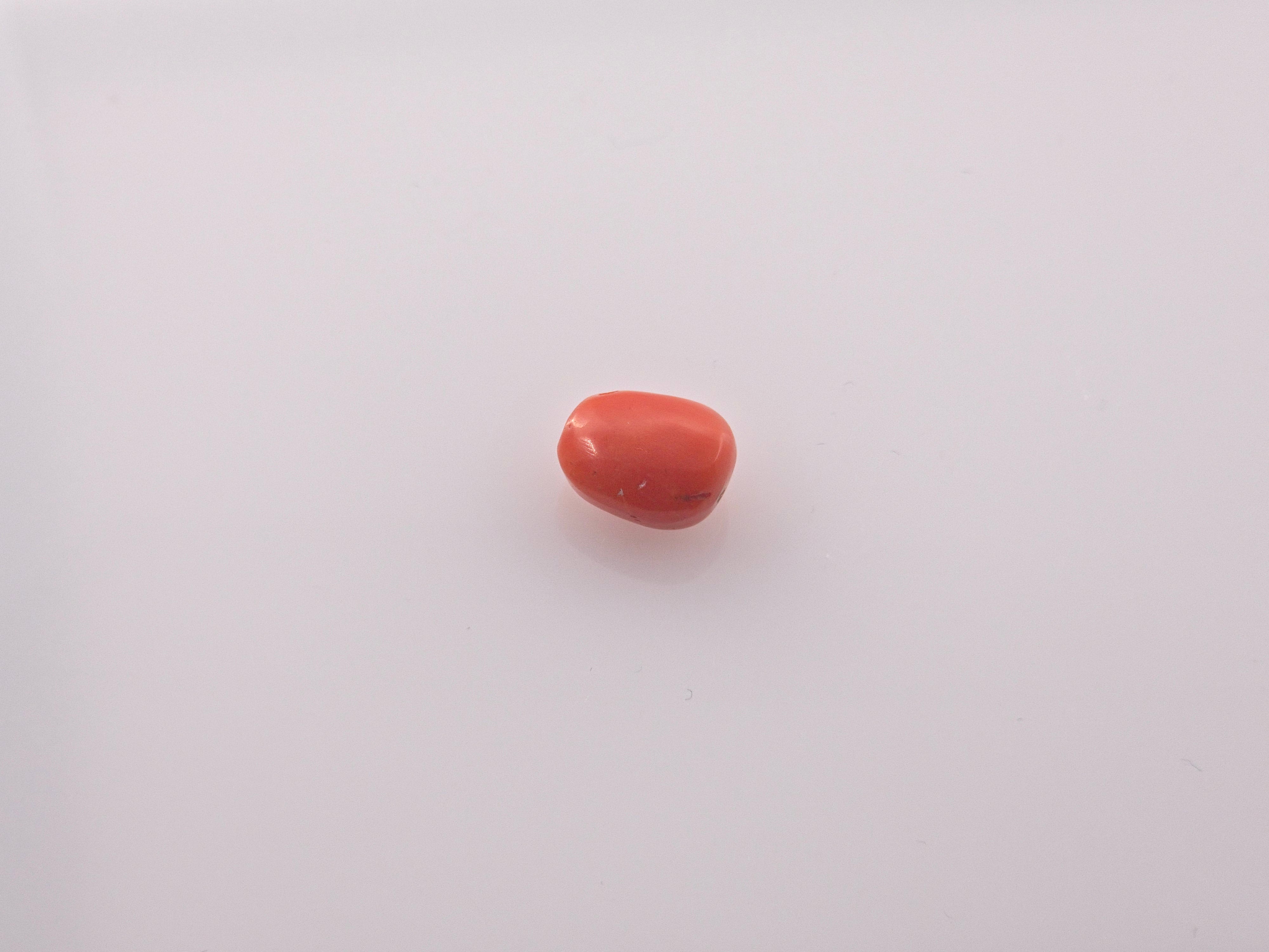 Coral - 4.05 Carats