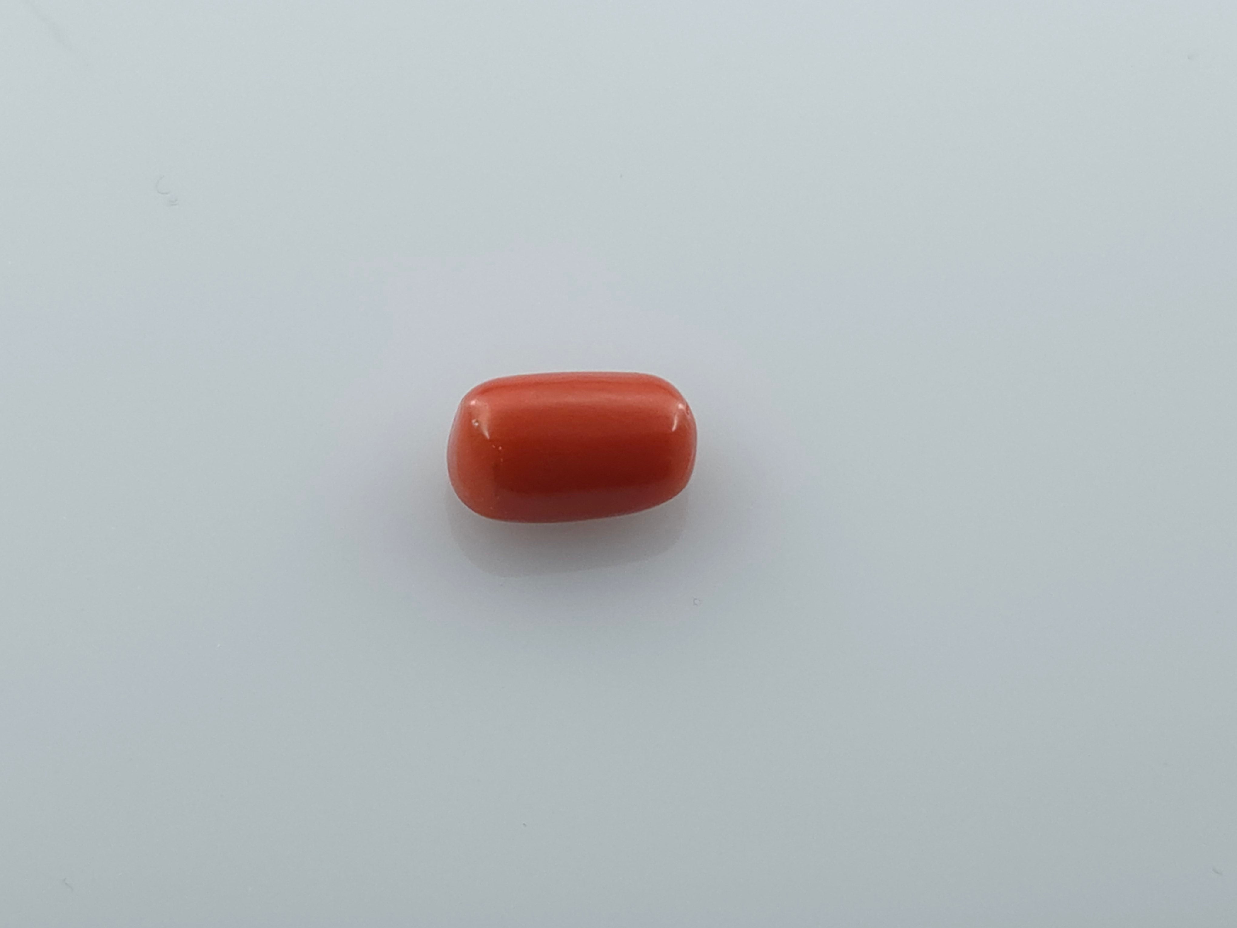 CORAL - 3.27 CARATS