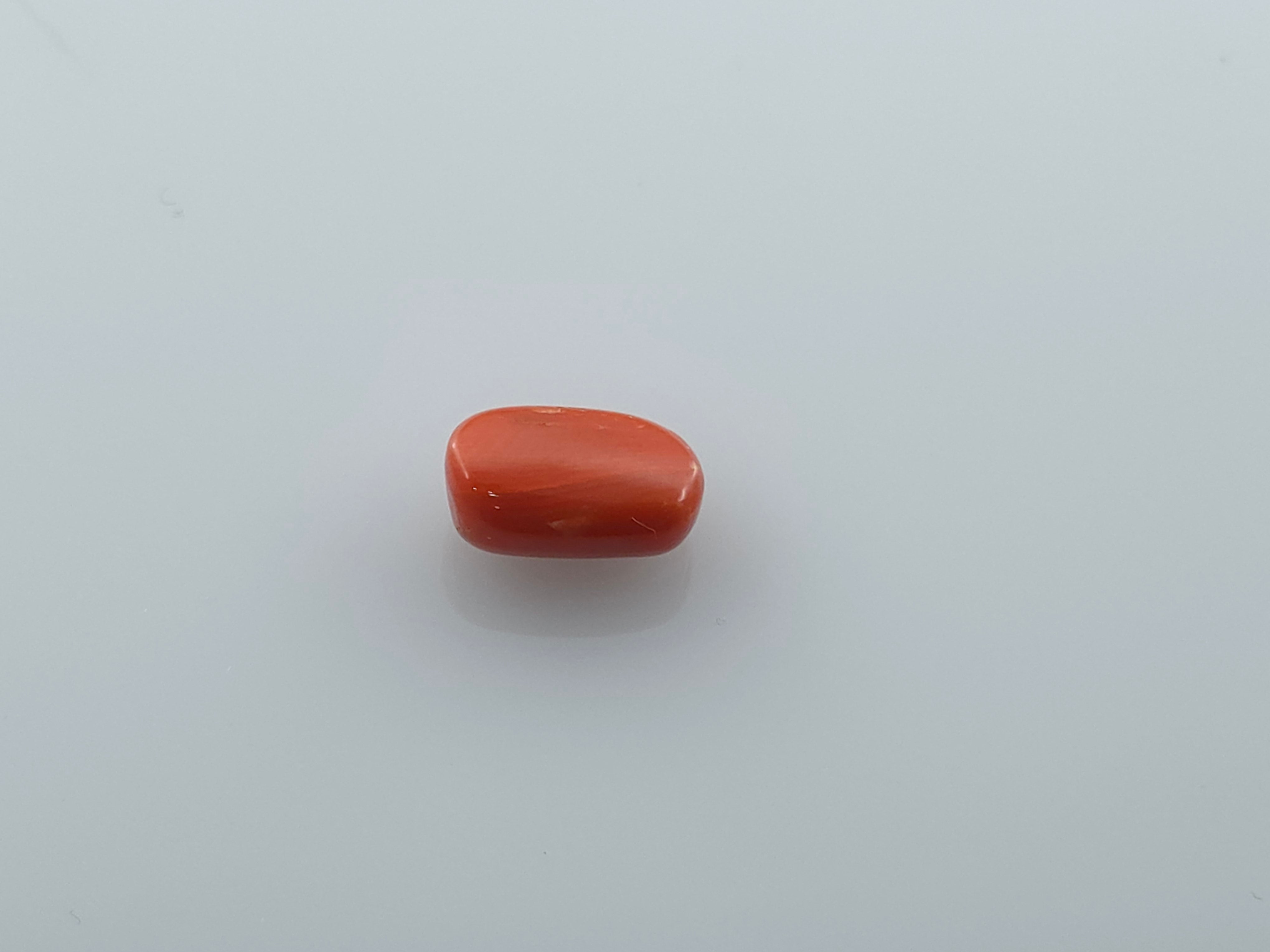 CORAL - 3.27 CARATS