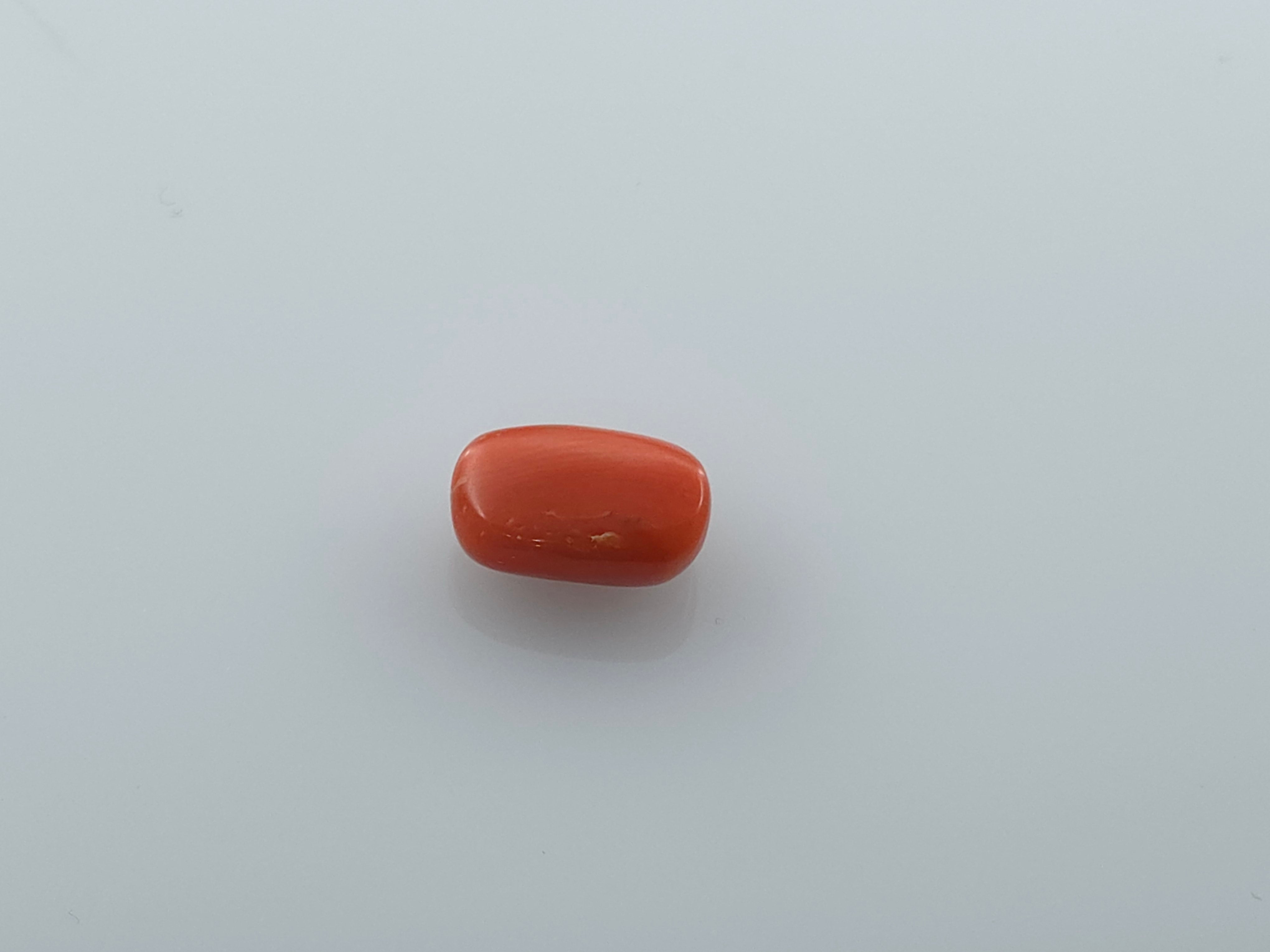 CORAL - 3.27 CARATS
