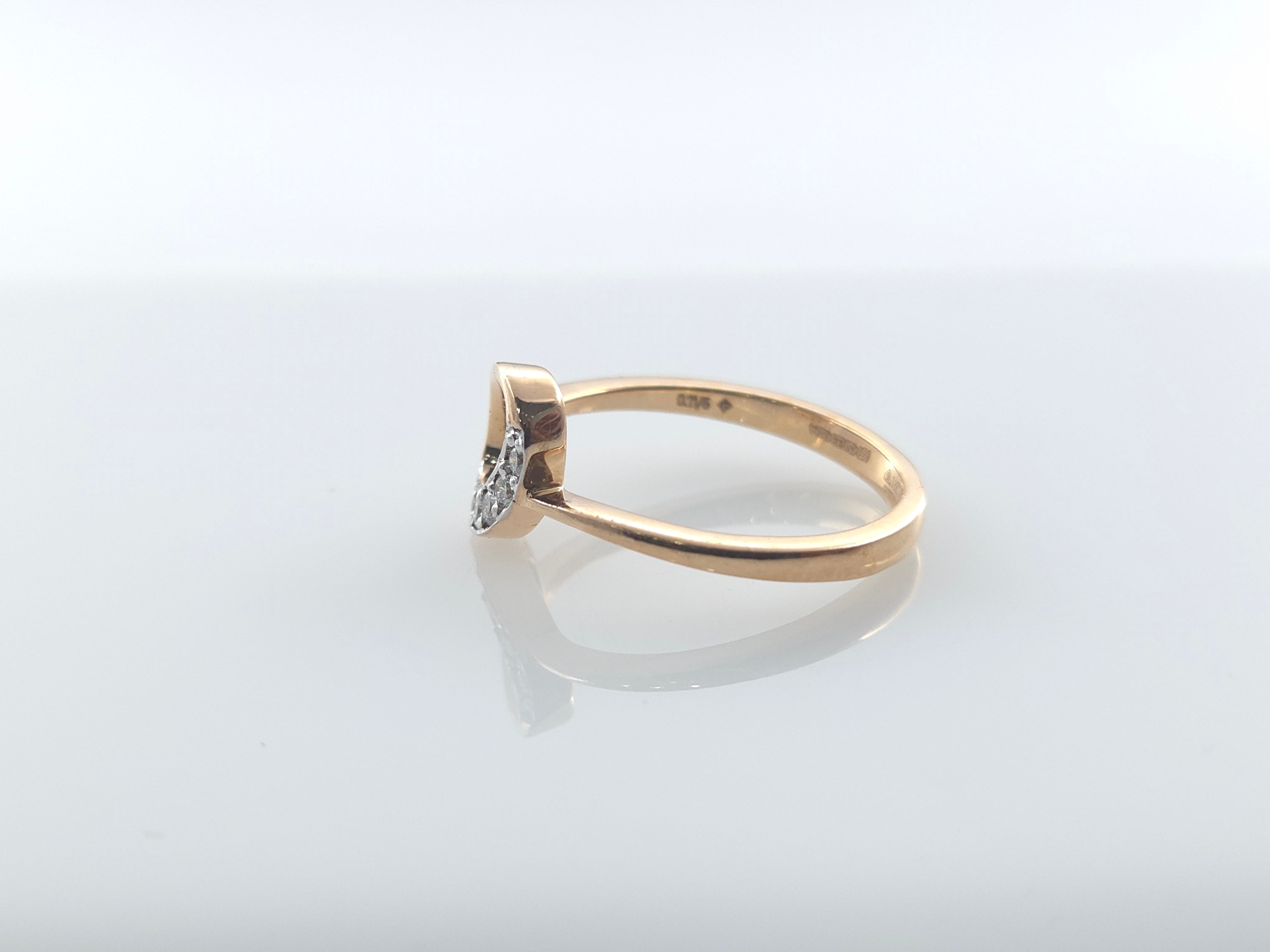Ring-RG23024