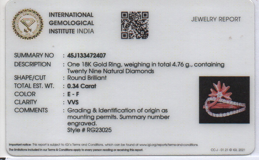 Ring-RG23025